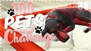 The Sims 4 | 100 Pets Challenge // Send Dogs! [08] | Mousie