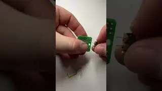 How To Build A Light Up Dog Collar (For Less Than $1)