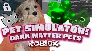 🔥 PET SIMULATOR 