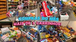 COMPRAS DO MÊS NO ATACADÃO! DEU TRÊS CARRINHOS DE TANTA COISA QUE COMPRAMOS😱