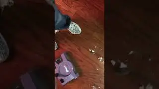 Shark cordless sweeper hard floor test