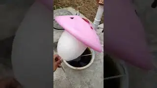 Cotton candy mushroom is coming #shorts #candyfloss #cottoncandymaker #asmr