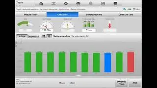 Pre purchase inspection Toyota Fielder Hybrid battery capacity test by Incar Automotive 