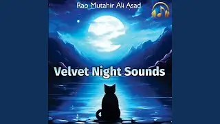 Velvet Night Sounds