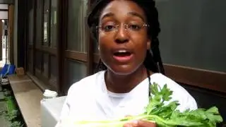 How Do Plants Drink Water? Part 1