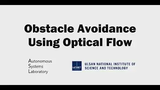 Obstacle avoidance using optical flow