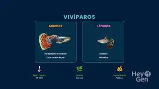 Alguns tipos de guppys. #guppyfish #guppys #ai 