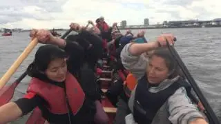 Curious Kat's Adventure Club - dragon boating