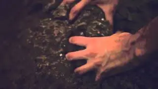 Muddy Mind