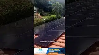 Why Thousands in Florida Trust Us&mdash;Watch the Proof! 🔥👀 #shorts #shortsfeed