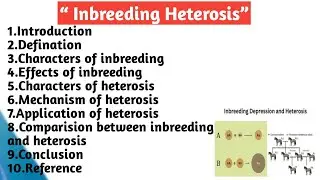 Inbreeding heterosis | Characteristics | Effects | Mechanism | Application | Comparison
