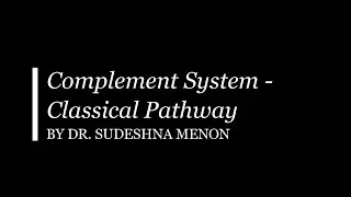 Complement System   Classical Pathway