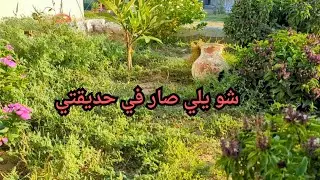 قررت ارتب الحديقة لكن اتحمست في التقليم وجبت العيد 😅😅