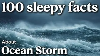 The Most Relaxing Facts About Ocean Storm To Fall Asleep To 