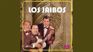 Tu y Tu Vida