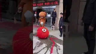 Funny Brown Bear Handing Out Leaflets | Funny Troll - Funny Pranks