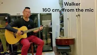 The Ultimate Projection Test of Two World-Class Acoustic Guitars: Ervin Somogyi VS Kim Walker 高端吉他對決