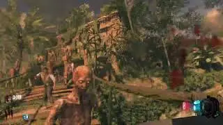 BO3 ZC