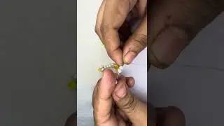 #beginnersstitch #sareeaccessories #diynstitch #sareekuchu #flowers #handbroidery