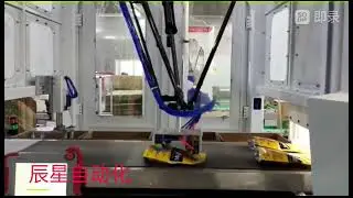 Automatic Case Packing Cell for Snacks in Doypack(stand-up pouch) by Delta Robot(Spider Robot)