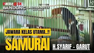 JAWARA KELAS UTAMA ANIS MERAH SAMURAI MILIK H. SYARIF GARUT || BANDUNG LAUTAN API IX FEAT AMZT