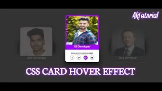 CSS Card Hover Effect Using HTML & CSS