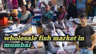 wholesale fish market in Mumbai Maharashtra #rkbabuvlogs 