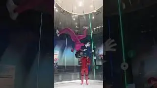 Mina head down helicopter