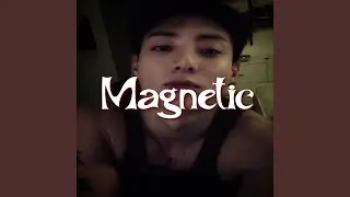자석 (Magnetic)