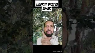 Likoriya aur dhat ka ilaaj #shorts #youtube shorts #safeed Pani ya dhat ka jana#trending