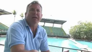 Facts About Dolphins : How Do Dolphins Fight Sharks?