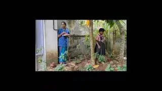 വൃക്ഷ പൂജ