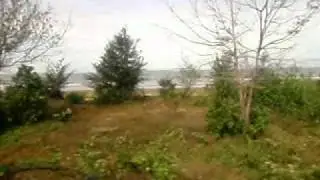 Train Moving Fast Along the Kimanis Beach