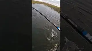 Рыбалка на щуку #рыбалка #fishing #рыба #магазин #carpfishing #щука #одежда #щука #hunting