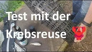 Krebsreuse ausgelegt – was lebt noch im Teich?