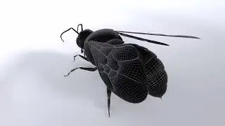 Bumblebee Wires
