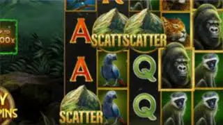 银背乘数山 Silverback Multiplier Mountain 游戏影片-﻿ Microgaming(MG) | OMNIGAMING