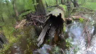 More Extreme Geocaching
