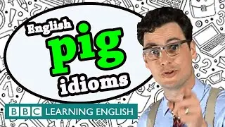 Pig idioms - Learn English idioms with The Teacher