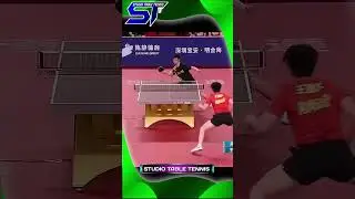 Beautiful Attacks #卓球の試合 #탁구 경기 #스포츠 #pingpong #tabletennis #shorts