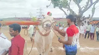 యాగంటి పల్లె న్యూ క్యాటగిరి విభాగంలో  11 jatha