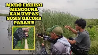 MANCING WADER DI SIDOARJO!!!! TERNYATA SERU JUGA MICRO FISHING
