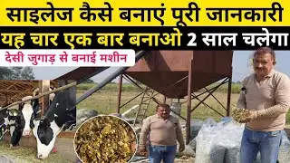 पशुओं के लिए हरे चारे का साइलेज कैसे बनाएं | #silage Kaise banaye | How to make silage in india