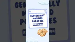Genetically Modified Potatoes | Requested Lesson | Science