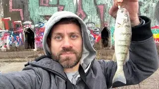 Winter perch fishing at Lake Michigan in Chicago #fishing #fishinglife #fishingvideo