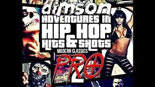 DimSon Pro -  Chicago (Banger Zone)(Preselection 2016)
