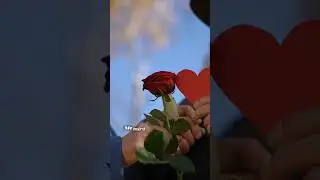 El secreto que mi esposa guard&oacute; para mi cumplea&ntilde;os 80 😭