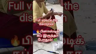plastic Cup/பிளாஸ்டிக் கப் இருந்தா போதும்! 🌿 terrace gardening ideas