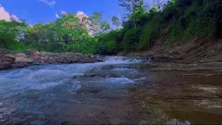 4K-HDR | Soft River Sounds with Subtle Nature Elements for Mental Restoration, Deep Rest & Sleep Aid