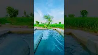 Punjab Pakistan Simple village life/#villagelife #lehndapunjab #tubewell #youtubeshorts #subscribe